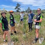 Invertebrates Increase at Te Pae O Ahuriri