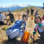 Superb effort from volunteers at our public Plantouts