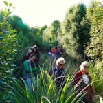 Established Greendots Invite Biodiversity